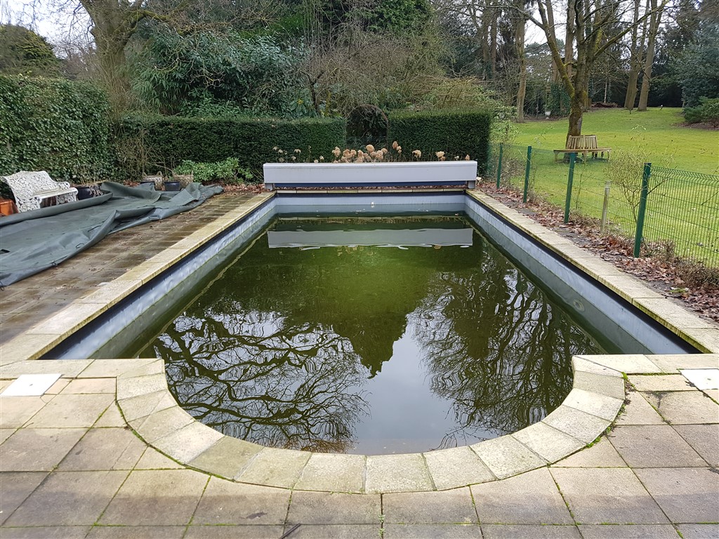 Oud bassin met groen water en een stenen rand rond de ronde trap, voor de renovatie.