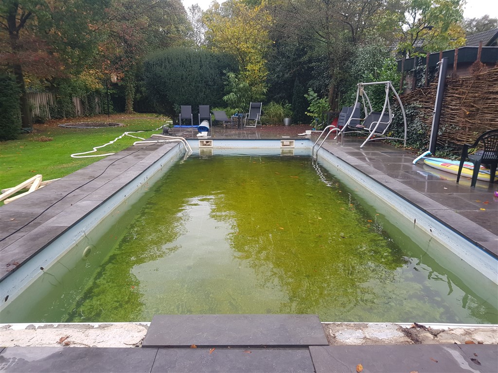 Groen water in het oude zwembad vanaf de korte kant, met een blauwe rol links.