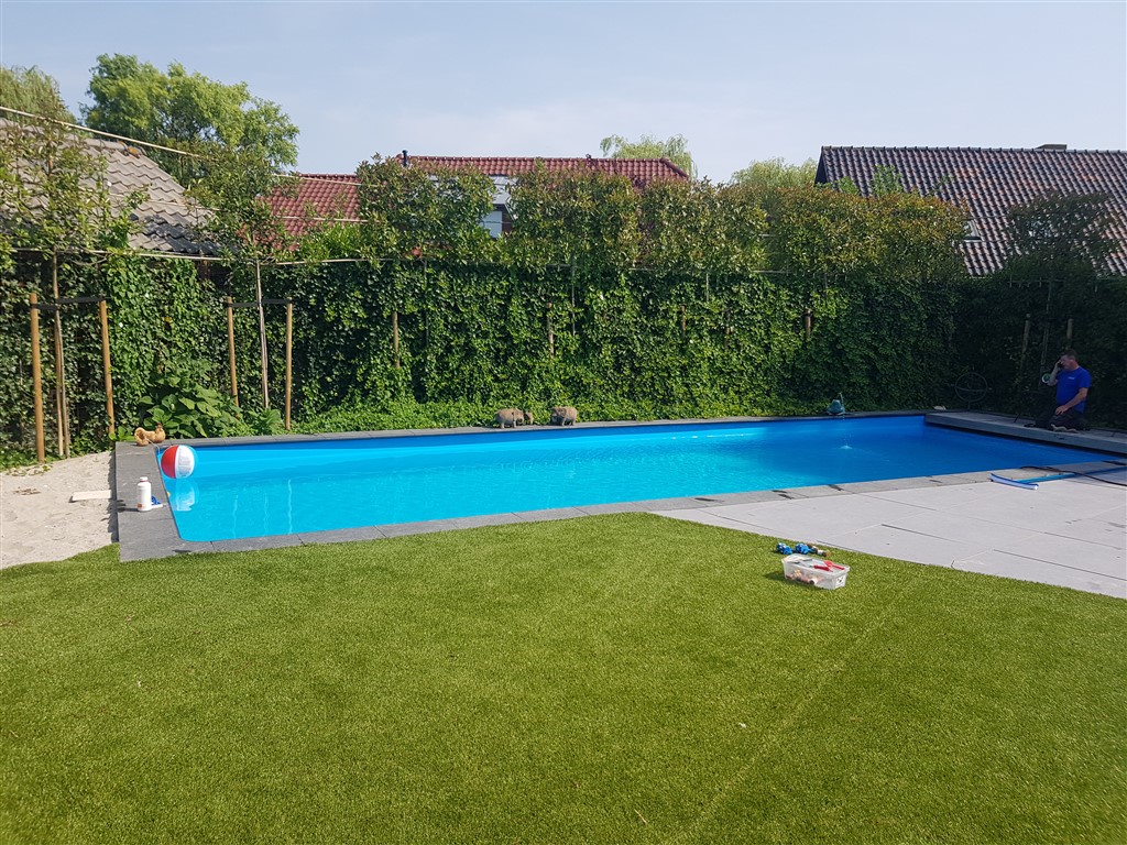 Zwembad met nieuwe rand, gazon en tegelterras, achter een hoge haag in Benthuizen.